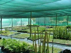 Manufacturers Exporters and Wholesale Suppliers of Shade Net Hubli Karnataka